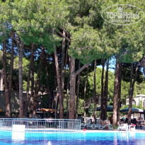 фото из отзыва ID 2739506