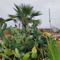 фото из отзыва ID 2739507