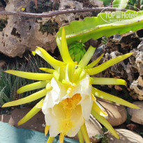 фото из отзыва ID 2739507