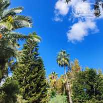 фото из отзыва ID 2739507