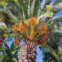 фото из отзыва ID 2739507