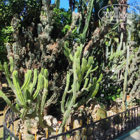 фото из отзыва ID 2739507