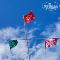 фото из отзыва ID 2739507