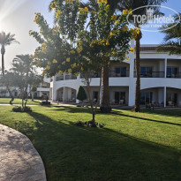 фото из отзыва ID 2739512