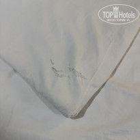 фото из отзыва ID 2739521