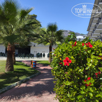 фото из отзыва ID 2739511