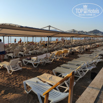 фото из отзыва ID 2739511