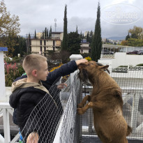 фото из отзыва ID 2739530