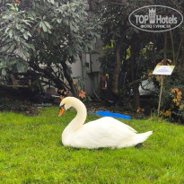 фото из отзыва ID 2739530