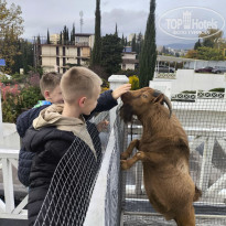 фото из отзыва ID 2739540