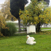 фото из отзыва ID 2739540