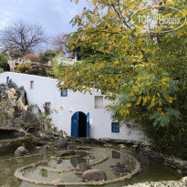 фото из отзыва ID 2739540