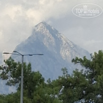 фото из отзыва ID 2739545