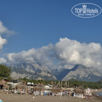 фото из отзыва ID 2739545