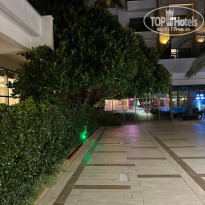 фото из отзыва ID 2739543