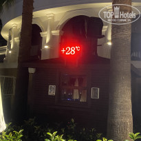 фото из отзыва ID 2739553