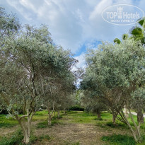 фото из отзыва ID 2739553