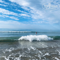 фото из отзыва ID 2739553