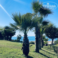 фото из отзыва ID 2739553