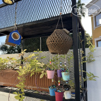 фото из отзыва ID 2739558