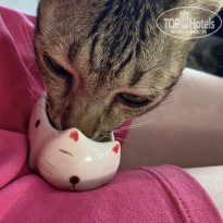 фото из отзыва ID 2739563