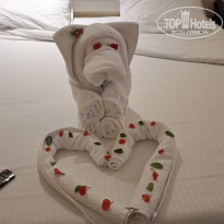 фото из отзыва ID 2739556