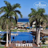 фото из отзыва ID 2739556