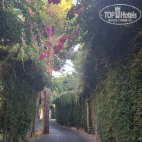 фото из отзыва ID 2739585