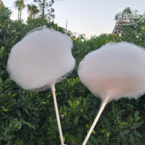 фото из отзыва ID 2739596