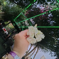 фото из отзыва ID 2739596