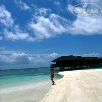 фото из отзыва ID 2739615