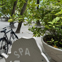 фото из отзыва ID 2739615