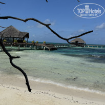 фото из отзыва ID 2739615