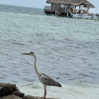 фото из отзыва ID 2739615