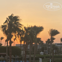 фото из отзыва ID 2739626