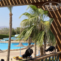 фото из отзыва ID 2739626