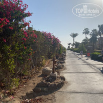 фото из отзыва ID 2739626