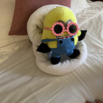 фото из отзыва ID 2739626