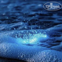 фото из отзыва ID 2739632