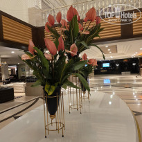 фото из отзыва ID 2739635