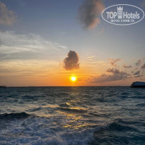 фото из отзыва ID 2739654