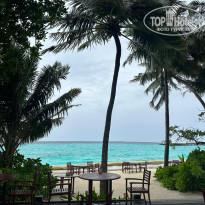 фото из отзыва ID 2739654