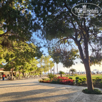 фото из отзыва ID 2739579