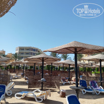 фото из отзыва ID 2739653