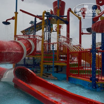 фото из отзыва ID 2739670