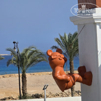 фото из отзыва ID 2739673