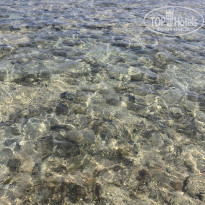 фото из отзыва ID 2739673