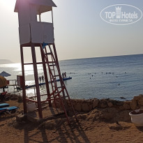 фото из отзыва ID 2739678