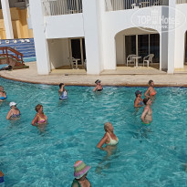 фото из отзыва ID 2739678