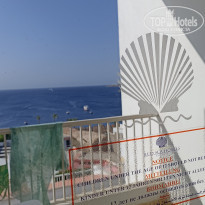 фото из отзыва ID 2739678